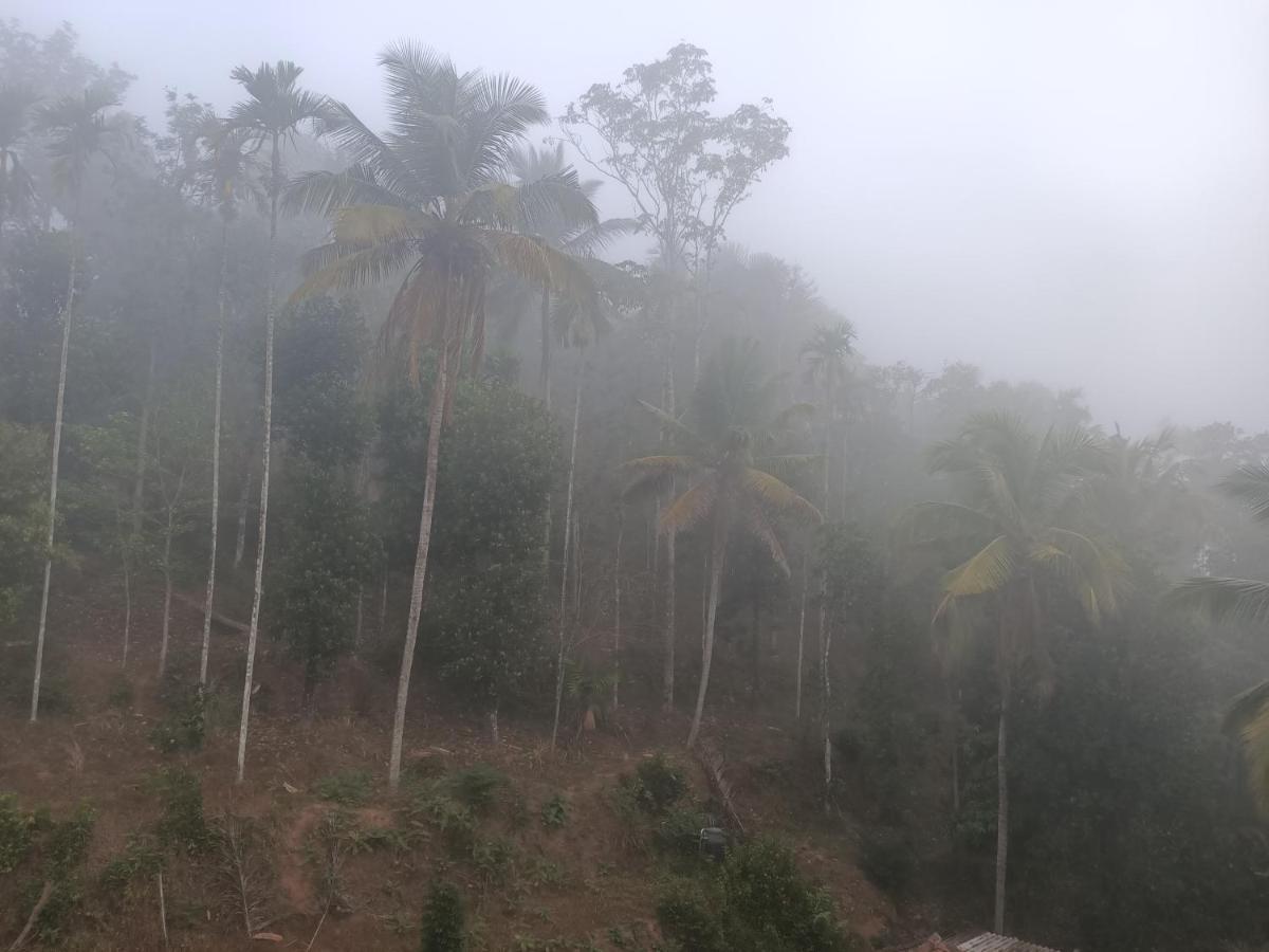 Bethel Service Villa, Mananthavady, Wayanad Dış mekan fotoğraf