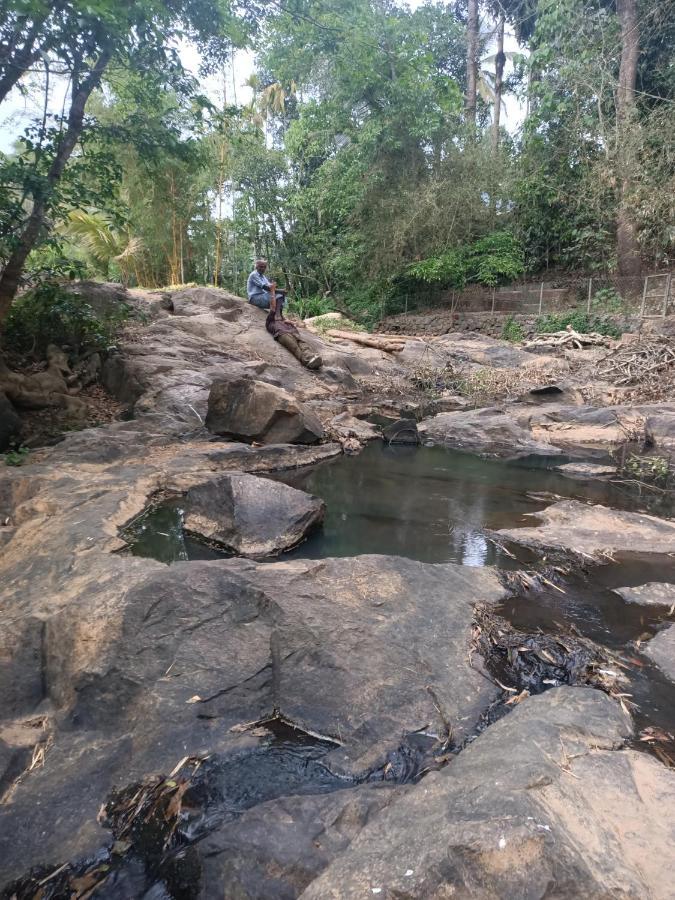 Bethel Service Villa, Mananthavady, Wayanad Dış mekan fotoğraf